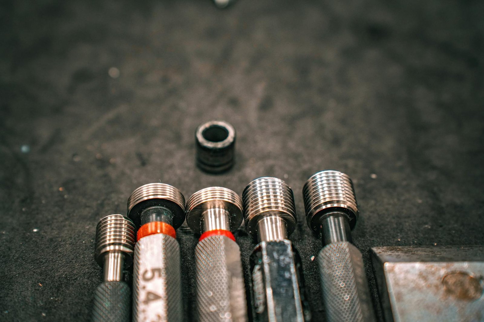 5 Best Tripwire & Detection System Options for Dogs at Night in Canada (2026) 5 Best Tripwire & Detection System Options for Dogs at Night in Canada (2026)