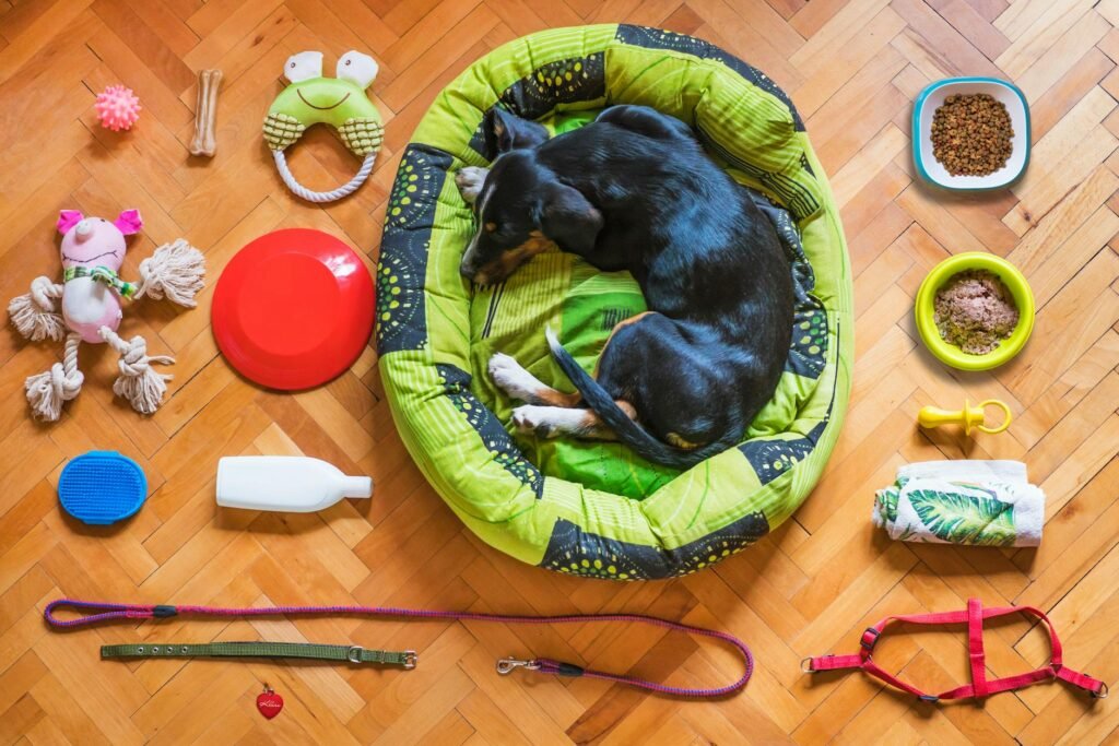 Best AI-Powered Pet Products on Amazon.ca Right Now (2026) Best AI-Powered Pet Products on Amazon.ca Right Now (2026)