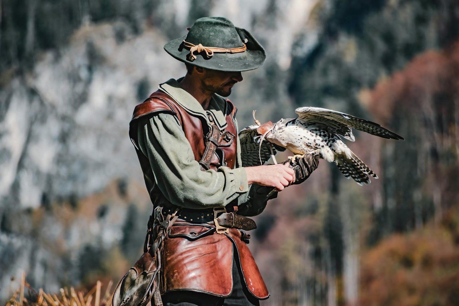 Best Hawk Vests for Small Dogs in Canada 2026: 5 Top Picks to Protect Your Pup